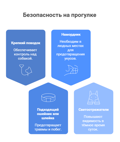 безопасность